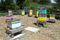 Click to enlarge photo of Aviary